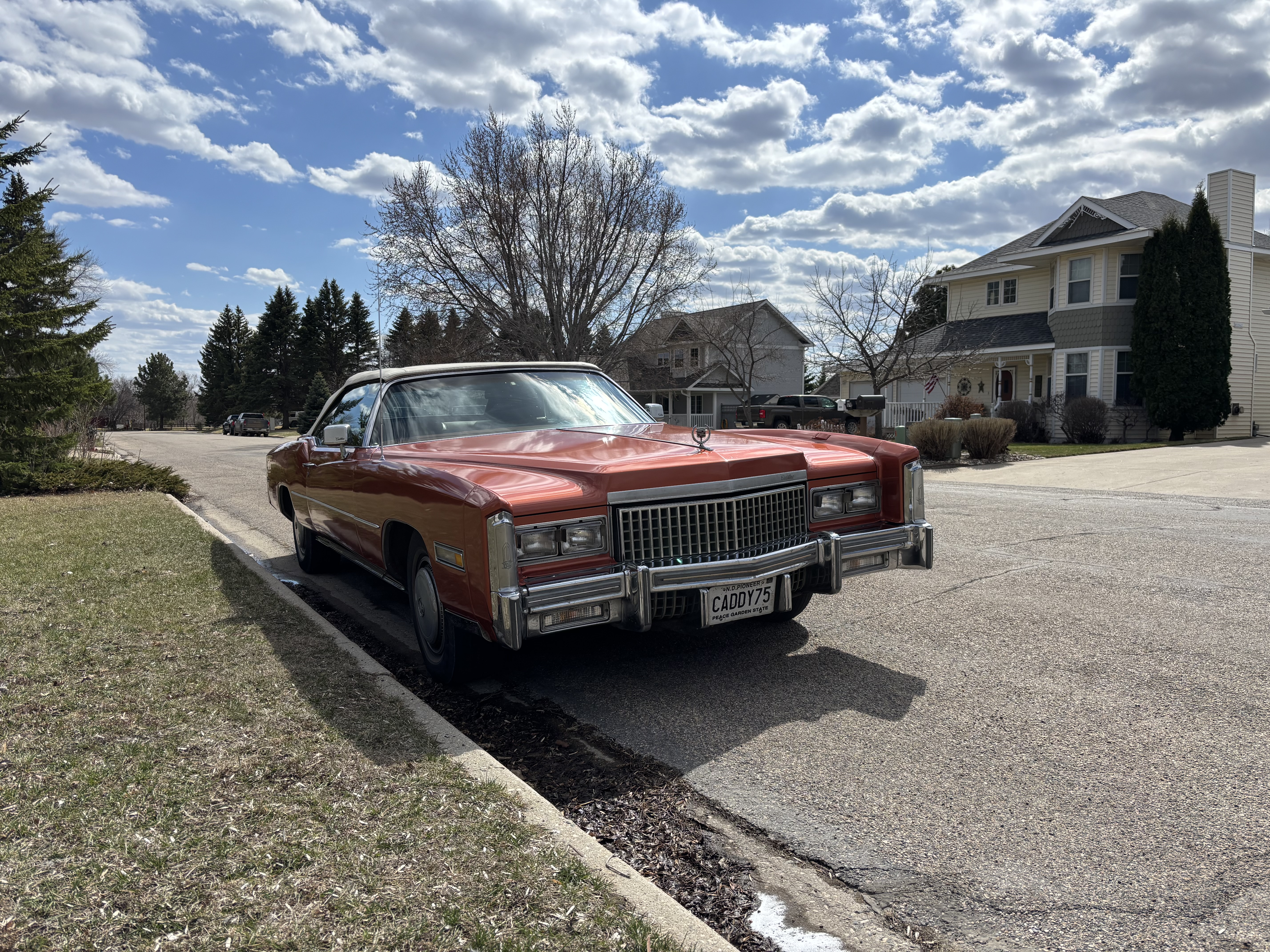 caddy in the sun